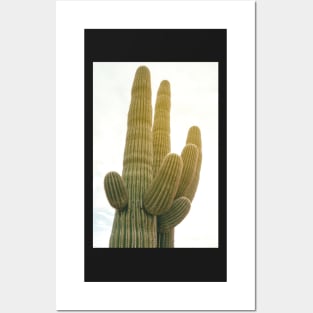 Saguaro Posters and Art